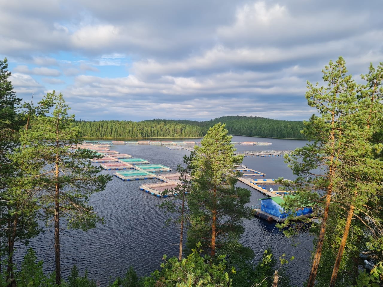 Пгт чупа карелия. Чупа посёлок Карелия. Чупа город в Карелии. Чупа Карелия фото 2022. Петрозаводский Карелия море.